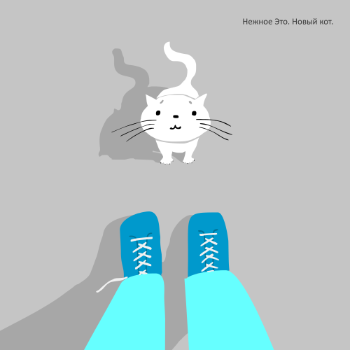 Нежное Это - Новый кот